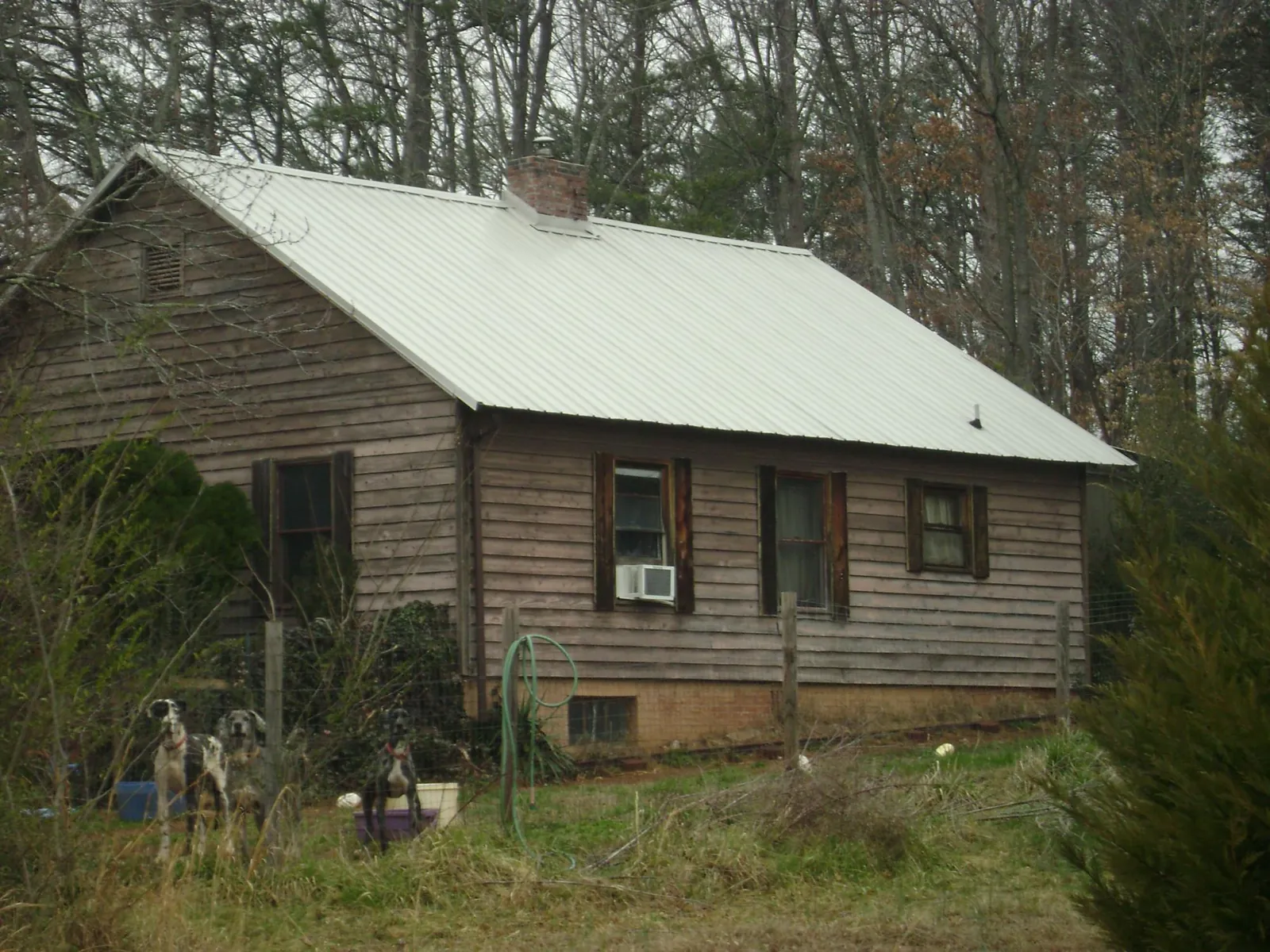 White metal roof on an old wood sided farmhouse, from a Asphalt Shingle Roof Repair job in Grass Valley